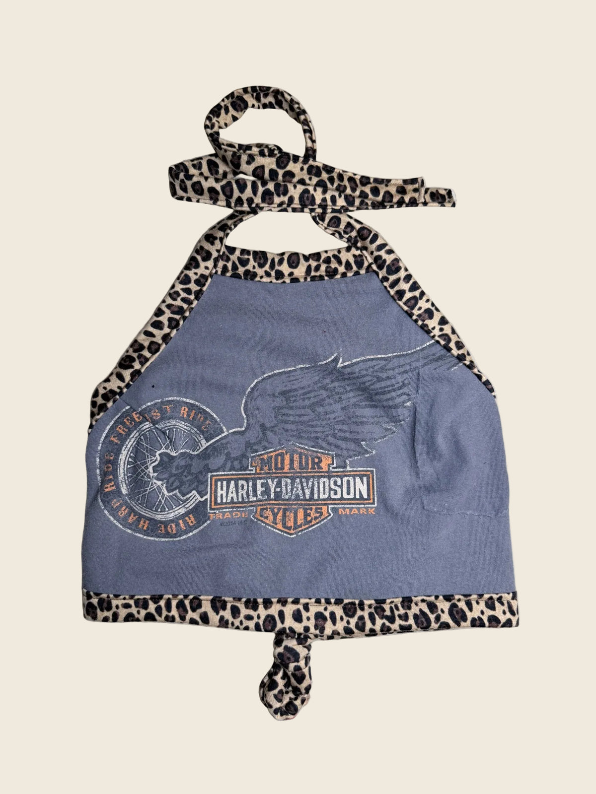 Cheetah B&S Cropped